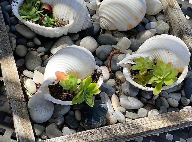 Διαμέρισμα White Castle Πάτρα